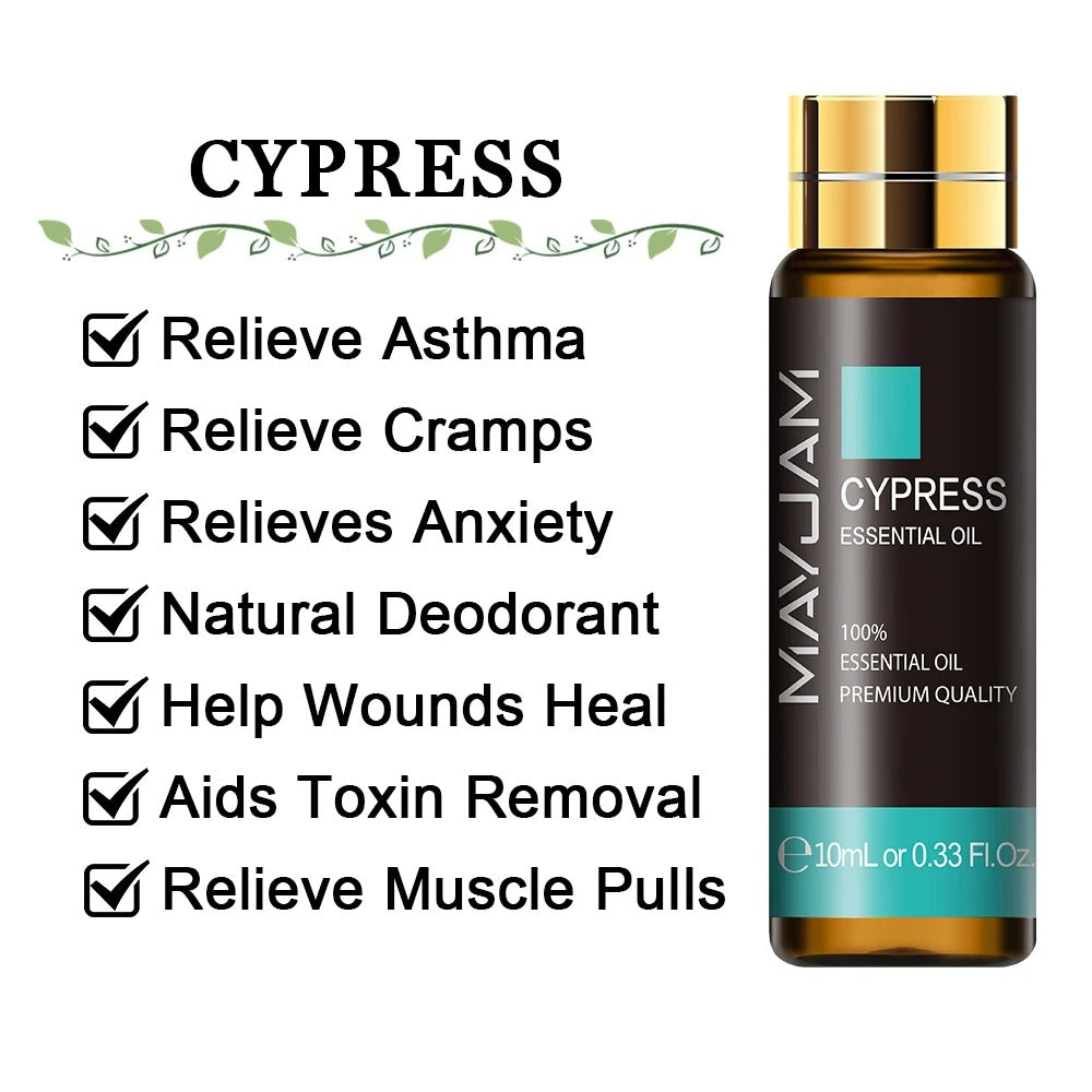 Image featuring cypress a serene natural essential oils, promoting improvements to everday life  and relaxation.