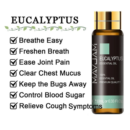 Image featuring eucalyputus a serene natural essential oils, promoting improvements to everday life  and relaxation.
